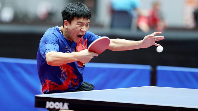 带来了巨大 带来了巨大