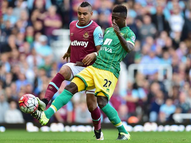 臂展和身体 臂展和身体