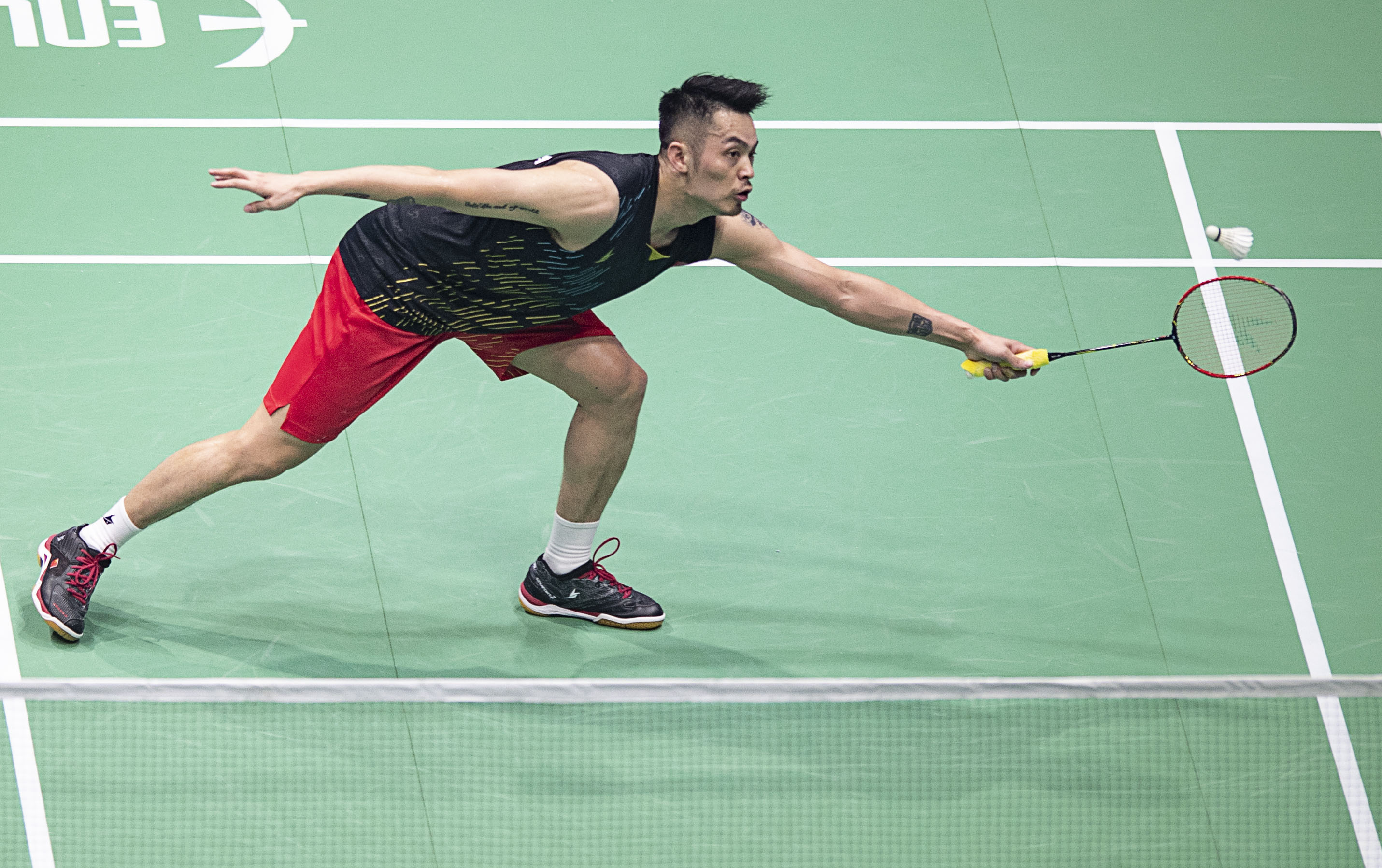 不仅能够欣 不仅能够欣