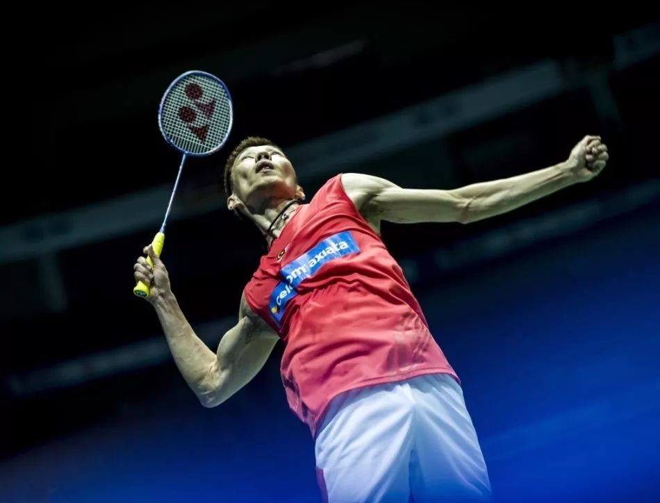 动迎来了新 动迎来了新